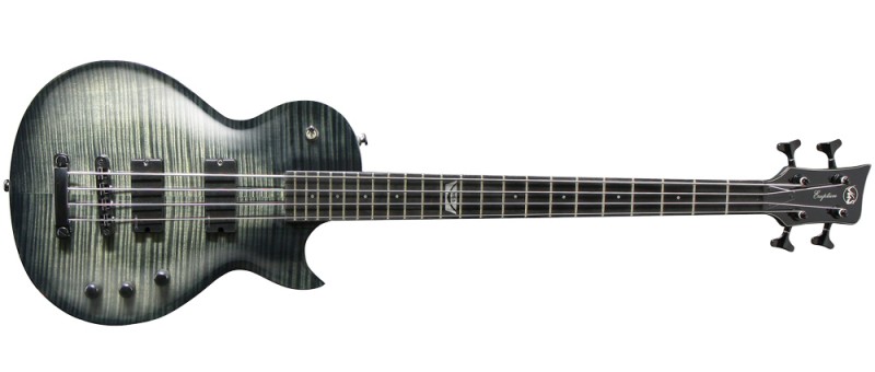 Magasin pour acheter une basse électrique ou acoustique neuve sur Avignon dans le Vaucluse